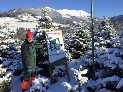 Christbaumverkauf - Tunelhof Christbäume Weerberg Tirol