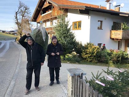 Hoftag Christbaumverkauf - Tunelhof Christbäume Weerberg Tirol