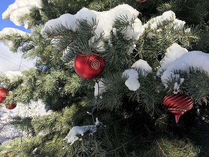 Christbaumschmuck - Tunelhof Christbäume Weerberg Tirol