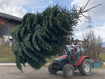 Geschäftskunden Lieferung - Tunelhof Christbäume Weerberg Tirol