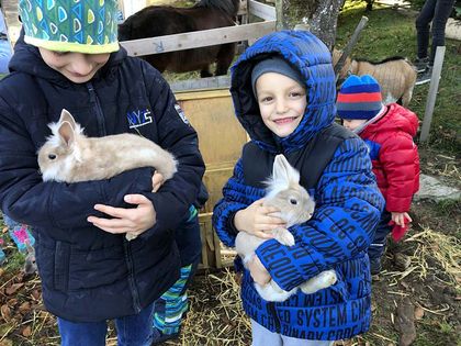 Hoftag Streichelzoo - Tunelhof Christbäume Weerberg Tirol