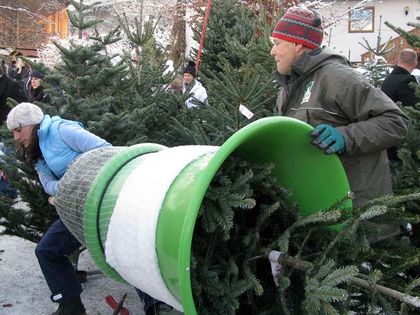 Hoftag Netzen - Tunelhof Christbäume Weerberg Tirol