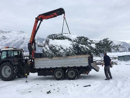 Geschäftskunde Swarovski - Tunelhof Christbäume Weerberg Tirol