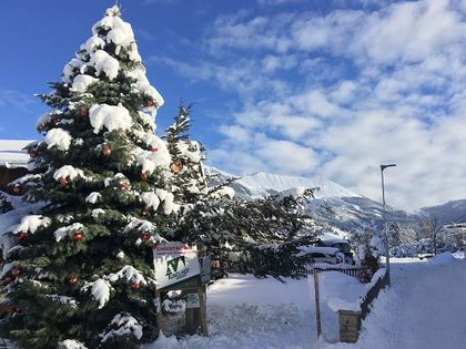 Geschäftskunden Coloradotanne - Tunelhof Christbäume Weerberg Tirol