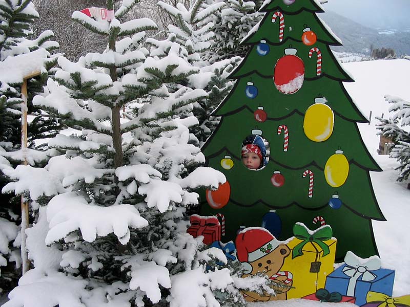 Referenz Geschäftskunde - Vitalhof Tunelhof Christbäume